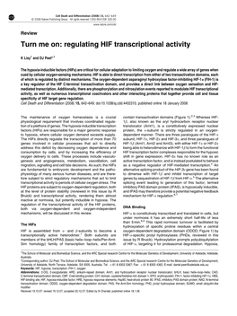 Turn Me On: Regulating HIF Transcriptional Activity