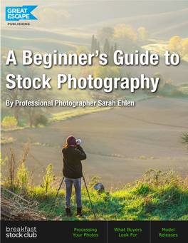 A Beginner's Guide to Stock Photography