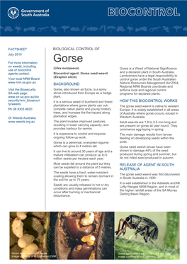 Background How This Biocontrol Works Biological Control of Release of Agent in South Australia