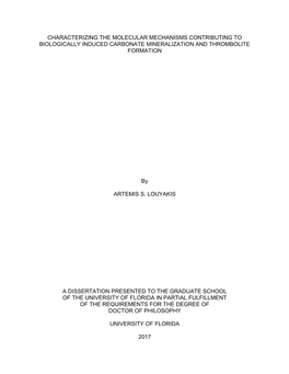 University of Florida Thesis Or Dissertation Formatting