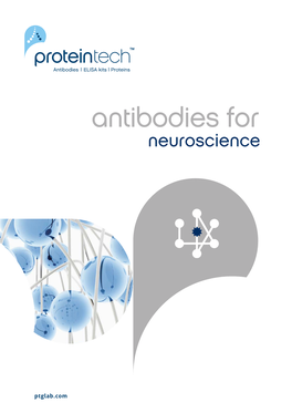 Antibodieseses F F Orforor Neuroscience Neurneoscieuroscienncece