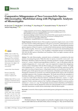 Comparative Mitogenomes of Two Coreamachilis Species (Microcoryphia: Machilidae) Along with Phylogenetic Analyses of Microcoryphia
