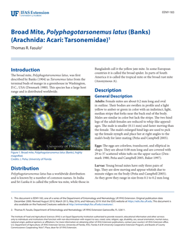 Broad Mite, Polyphagotarsonemus Latus (Banks) (Arachnida: Acari: Tarsonemidae)1 Thomas R