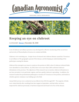 Keeping an Eye on Clubroot