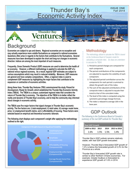 Thunder Bay's Economic Activity Index