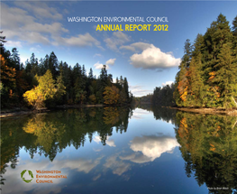 Annual Report 2012