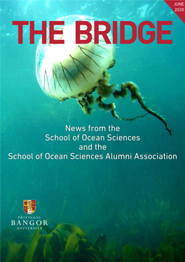 News from the School of Ocean Sciences And