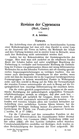 Revision Der Cypraeacea (Moll., Gastr.) Von F