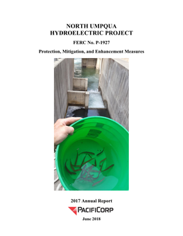 North Umpqua Hydroelectric Project