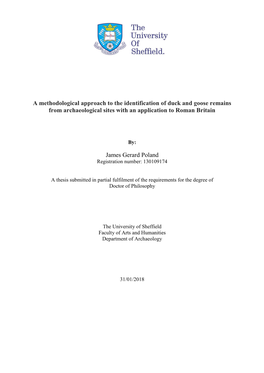 A Methodological Approach to the Identification of Duck and Goose Remains from Archaeological Sites with an Application to Roman Britain