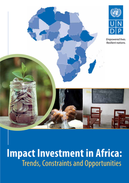 Impact Investment in Africa: Trends, Constraints and Opportunities