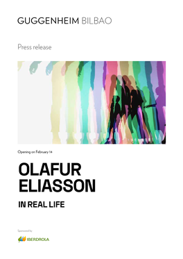 Olafur Eliasson in Real Life