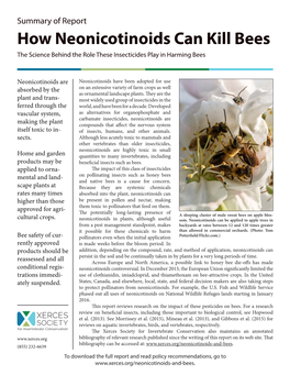 How Neonicotinoids Can Kill Bees the Science Behind the Role These Insecticides Play in Harming Bees