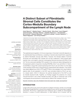 A Distinct Subset of Fibroblastic Stromal Cells Constitutes the Cortex-Medulla Boundary Subcompartment of the Lymph Node