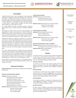 Generalidades Información Taxonómica Síntomas Alternaria