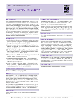 RRP15 Sirna (H): Sc-88523
