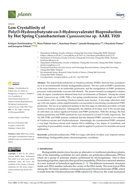 Low Crystallinity of Poly(3-Hydroxybutyrate-Co-3-Hydroxyvalerate) Bioproduction by Hot Spring Cyanobacterium Cyanosarcina Sp