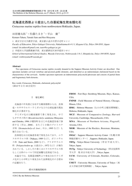 北海道北西部より産出した白亜紀海生爬虫類化石 Cretaceous Marine Reptiles from Northwestern Hokkaido, Japan