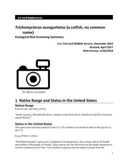 Trichomycterus Auroguttatus (A Catfish, No Common Name) Ecological Risk Screening Summary