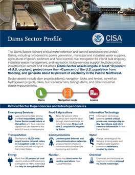 Dams Sector Profile
