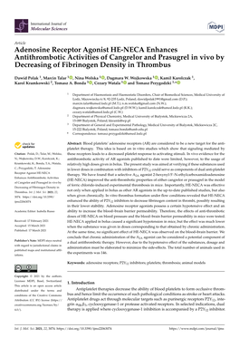 Adenosine Receptor Agonist HE-NECA Enhances Antithrombotic Activities of Cangrelor and Prasugrel in Vivo by Decreasing of Fibrinogen Density in Thrombus