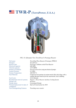 TWR-P (Terrapower, U.S.A.)