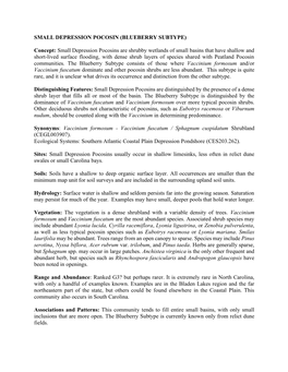 SMALL DEPRESSION POCOSIN (BLUEBERRY SUBTYPE) Concept