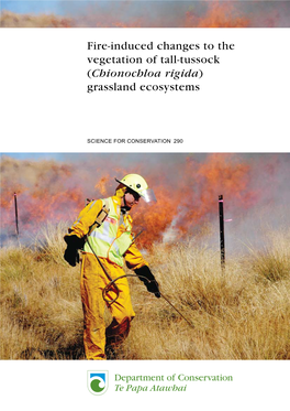 Fire-Induced Changes to the Vegetation of Tall-Tussock (Chionochloa Rigida) Grassland Ecosystems