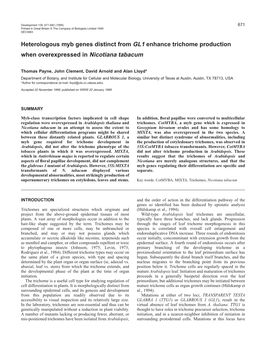 Myb Genes Enhance Tobacco Trichome Production 673