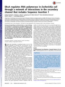 Dksa Regulates RNA Polymerase in Escherichia Coli Through a Network of Interactions in the Secondary Channel That Includes Sequence Insertion 1