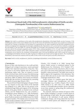 Discriminant-Based Study of the Shell Morphometric Relationships of Patella Caerulea (Gastropoda: Prosobranchia) of the Western Mediterranean Sea