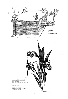 Pterostylis Banksii Var. Patens the Small Green Orchid Watercolour Nancy M