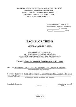 Bachelor Thesis