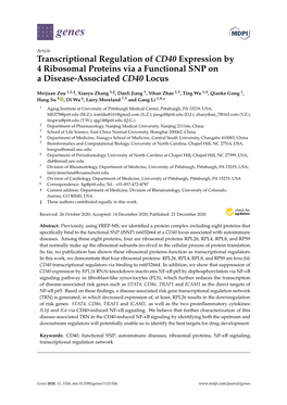 Transcriptional Regulation of CD40 Expression by 4 Ribosomal Proteins Via a Functional SNP on a Disease-Associated CD40 Locus