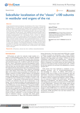 S100 Subunits in Vestibular End Organs of the Rat