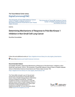 Determining Mechanisms of Response to Polo-Like Kinase 1 Inhibition in Non-Small Cell Lung Cancer
