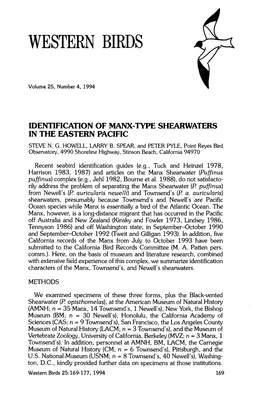 Identification of Manx-Type Shearwaters in the Eastern Pacific