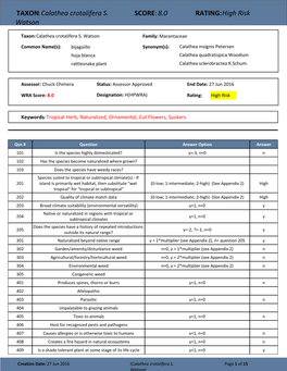 TAXON:Calathea Crotalifera S. Watson SCORE:8.0 RATING