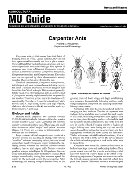 Carpenter Ants Richard M