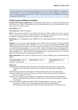 Mini Data Sheet on Deudorix Isocrates