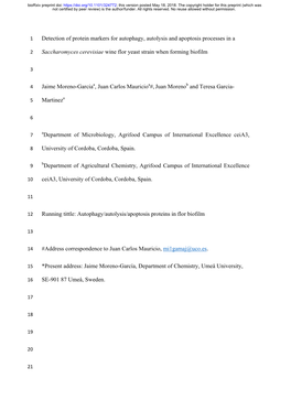 Detection of Protein Markers for Autophagy, Autolysis and Apoptosis Processes in A