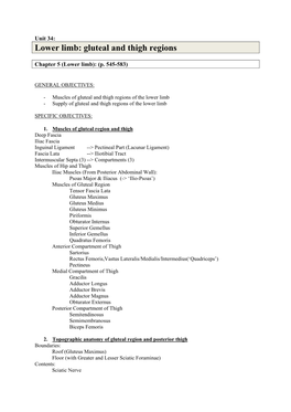 Lower Limb: Gluteal and Thigh Regions