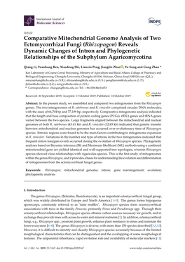 Comparative Mitochondrial Genome Analysis of Two Ectomycorrhizal