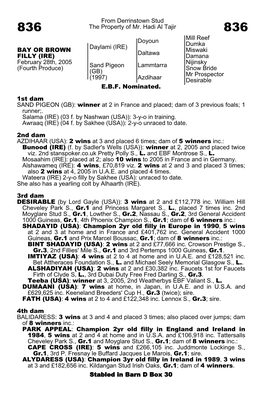 From Derrinstown Stud the Property of Mr. Hadi Al Tajir Doyoun Mill Reef Dumka Daylami (IRE) Daltawa Miswaki Damana Lammtarra Ni