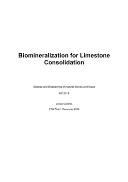 Biomineralization for Limestone Consolidation