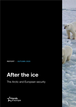 After the Ice – the Arctic and European Security