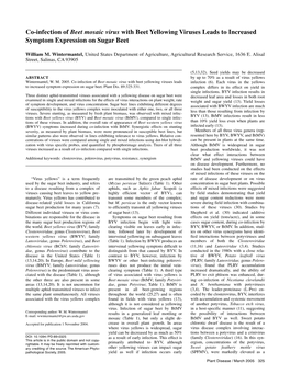 Co-Infection of Beet Mosaic Virus with Beet Yellowing Viruses Leads to Increased Symptom Expression on Sugar Beet