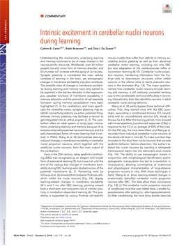 Intrinsic Excitement in Cerebellar Nuclei Neurons During Learning Cathrin B