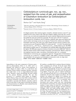 Cellulosilyticum Ruminicola Gen. Nov., Sp. Nov., Isolated from the Rumen of Yak, and Reclassification of Clostridium Lentocellum As Cellulosilyticum Lentocellum Comb