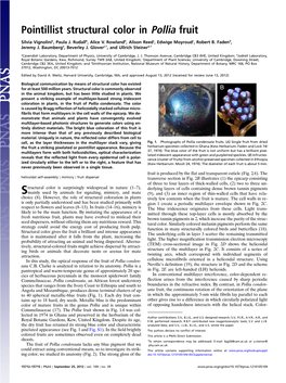 Pointillist Structural Color in Pollia Fruit